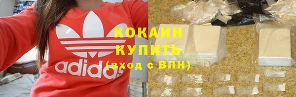 хмурый Вяземский