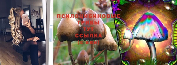хмурый Вяземский