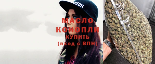 хмурый Вяземский