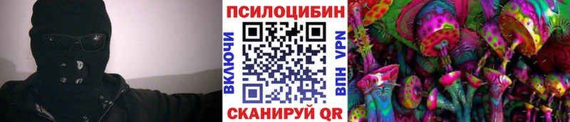 Купить где  Киржач  Галлюциногенные грибы Cubensis 